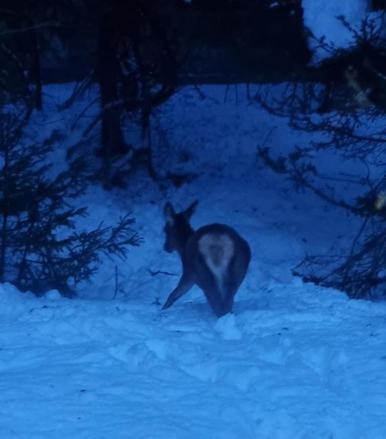 Alloggi Buon Riposo Tarvisio Exterior foto