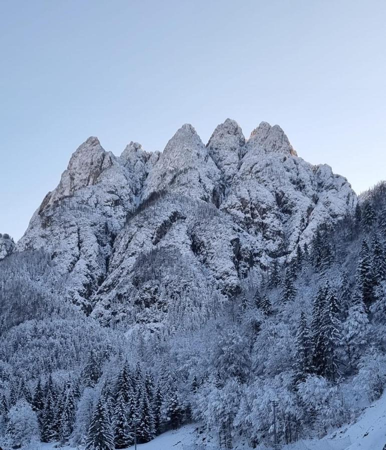 Alloggi Buon Riposo Tarvisio Exterior foto